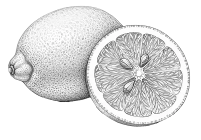 Imagen PNG para descargar